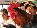 The passengers behind us on one of many mini-buses we took that day including the rooster that would spontaneously unleash a cock-a-doodle-do that shook the entire van ever 20 minutes or so.